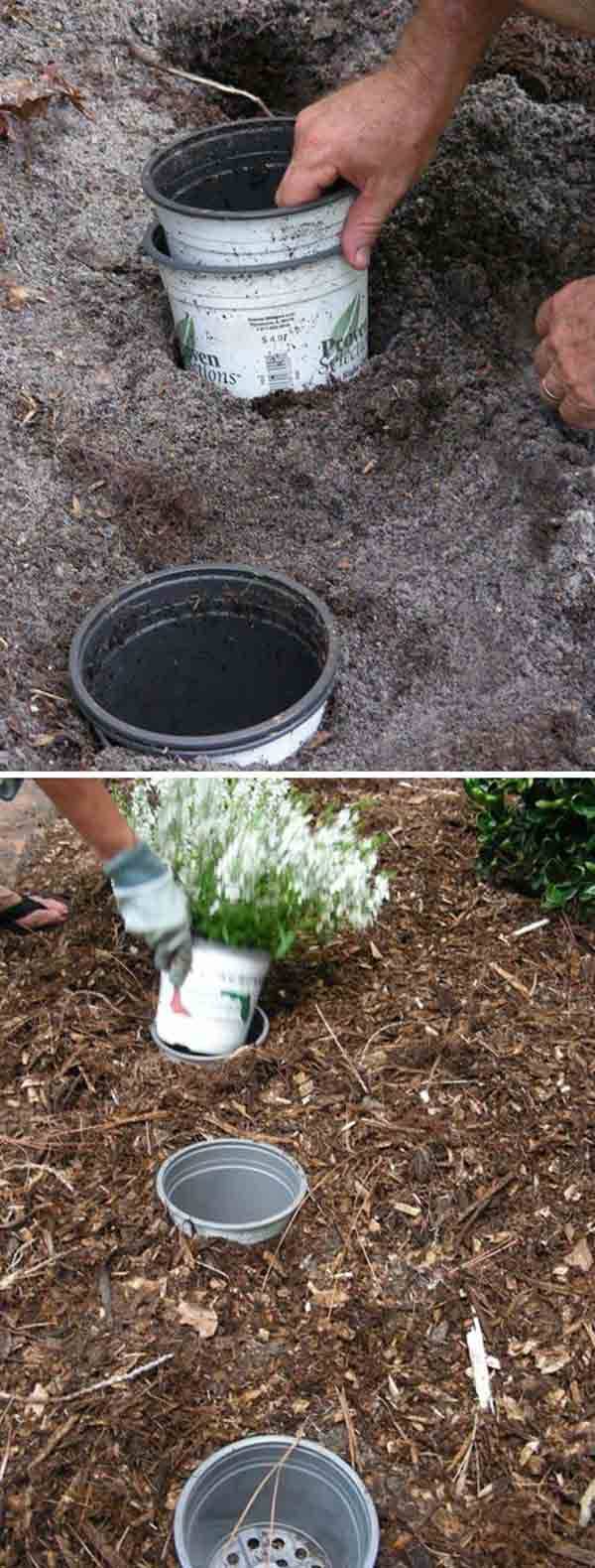 Gardening Secrets Top Gardening Tips