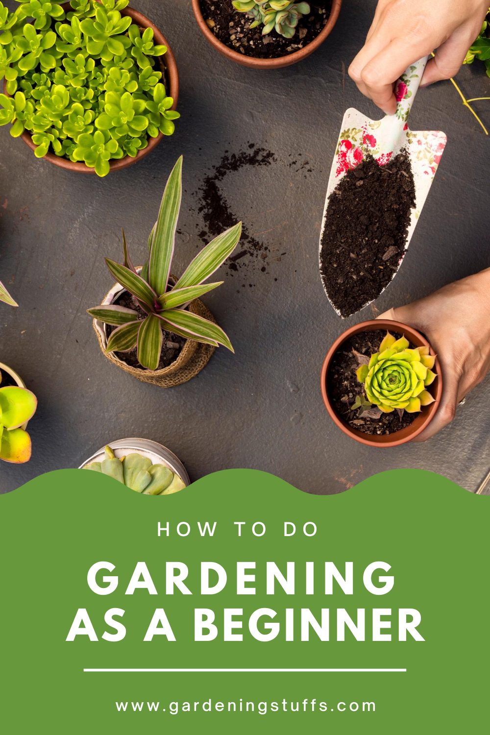 Simple Gardening Tips