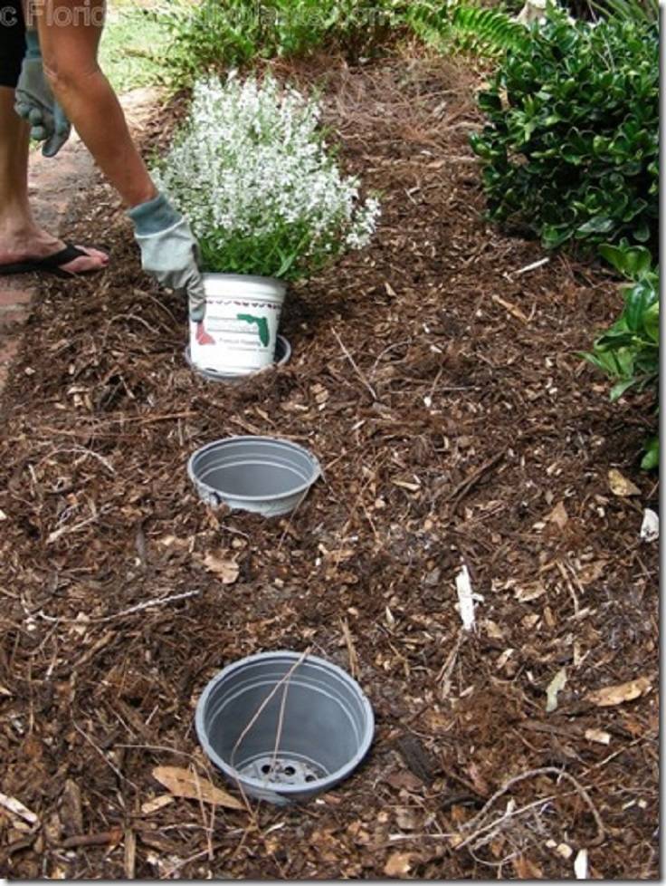 Top Incredibly Clever Gardening Tricks