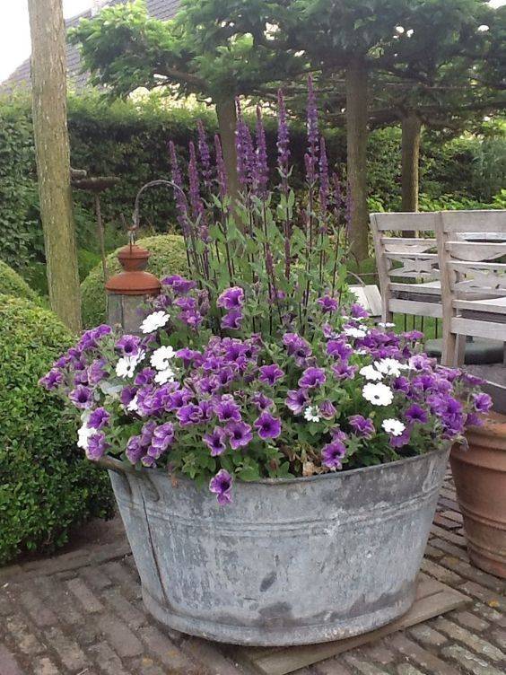 Best Creative Garden Container Ideas
