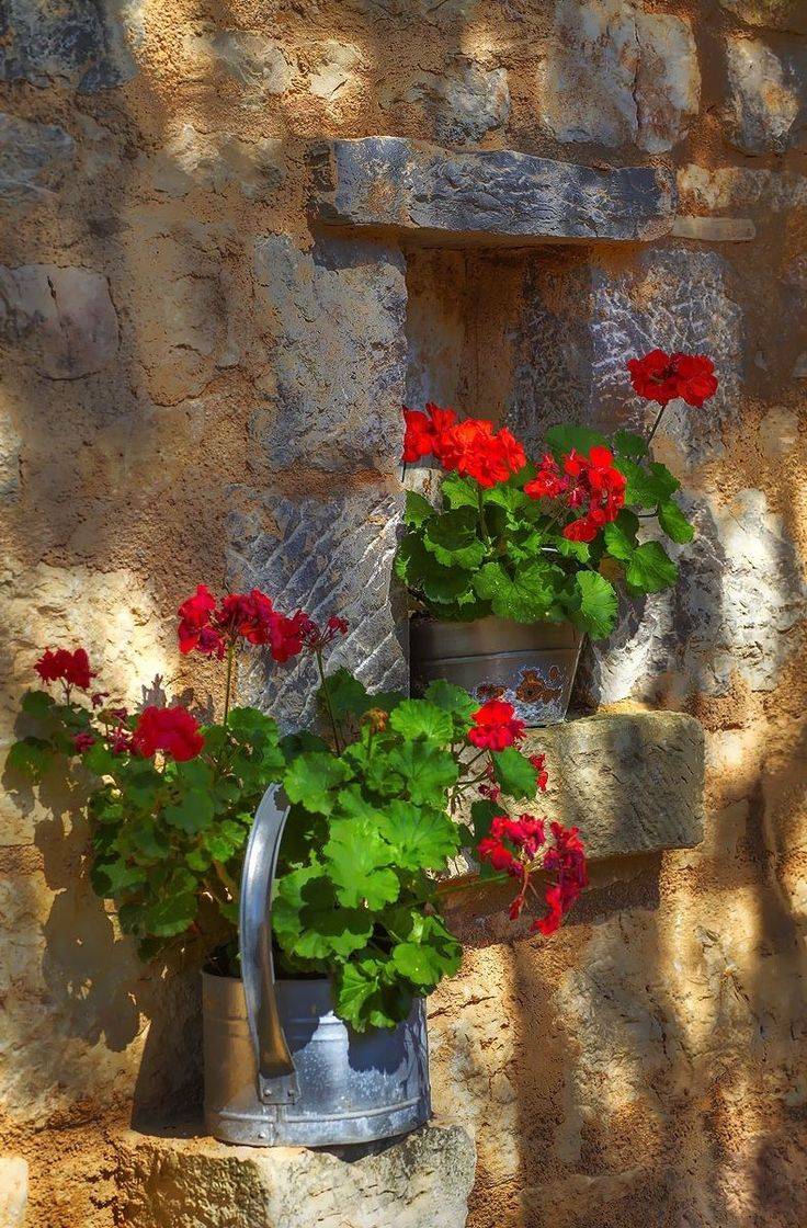 Rustic Garden