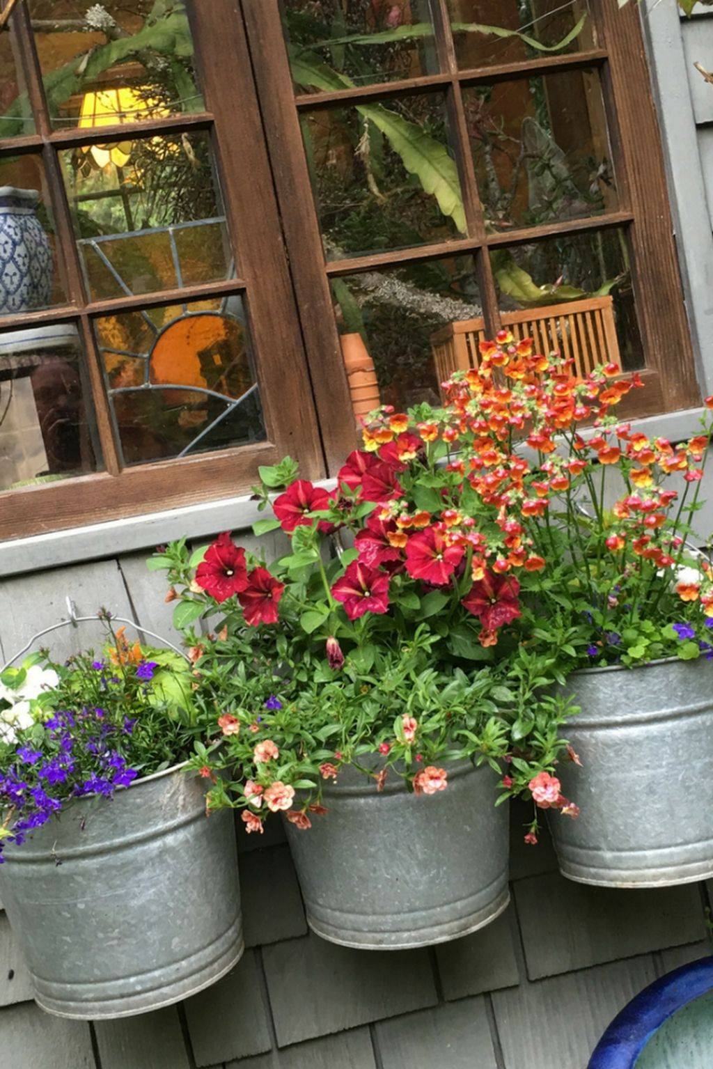 The Rustic Garden