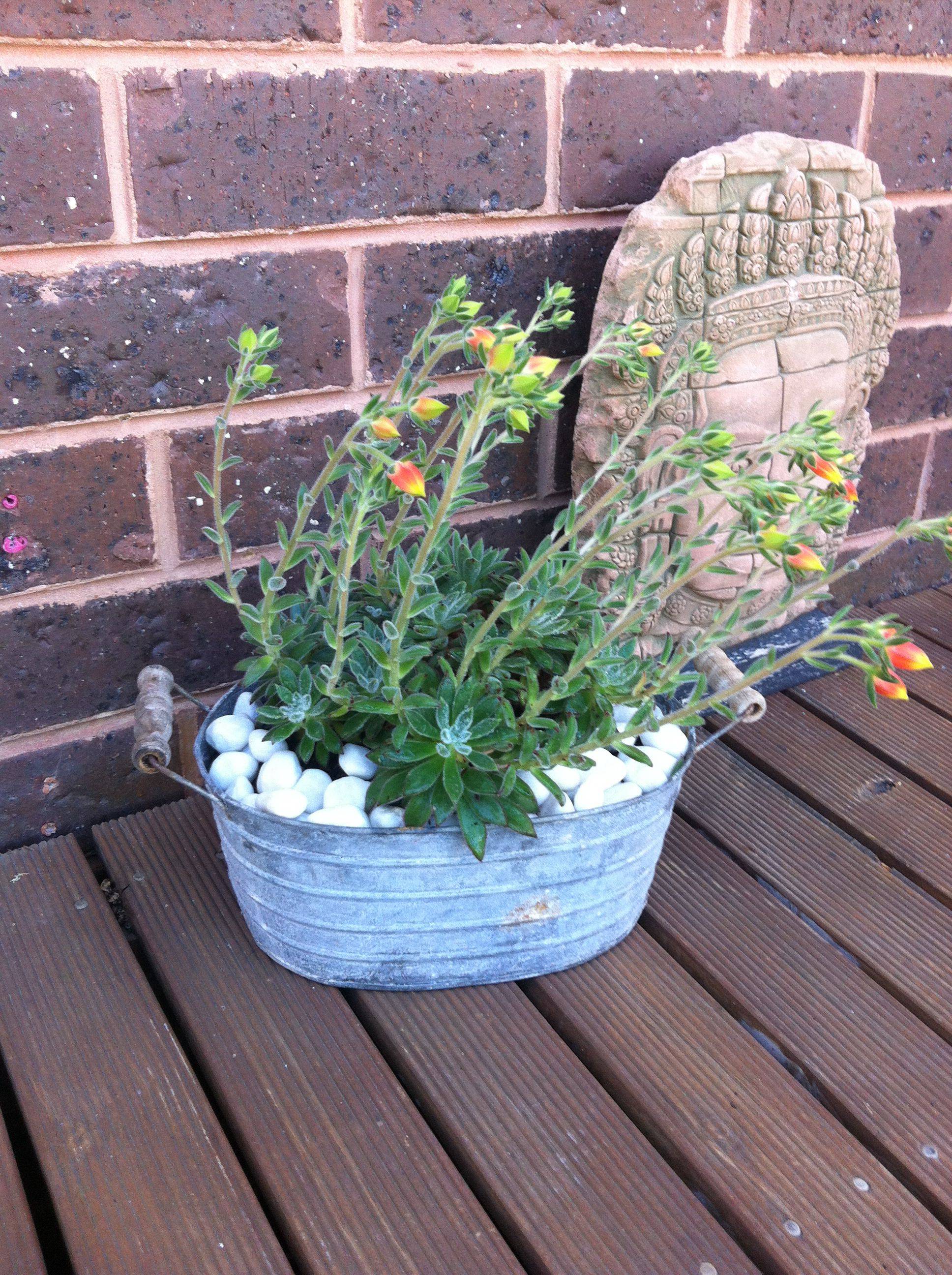 Tub Planter Modern Design