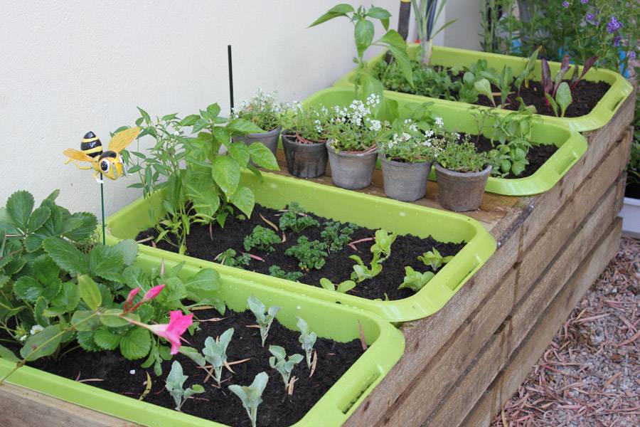 Interesting Container Vegetable Gardening Ideas