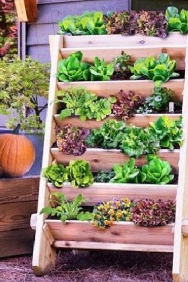 Easy Vegetable Home Gardening Ideas