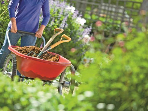 Healthier Vegetable Gardening Tips