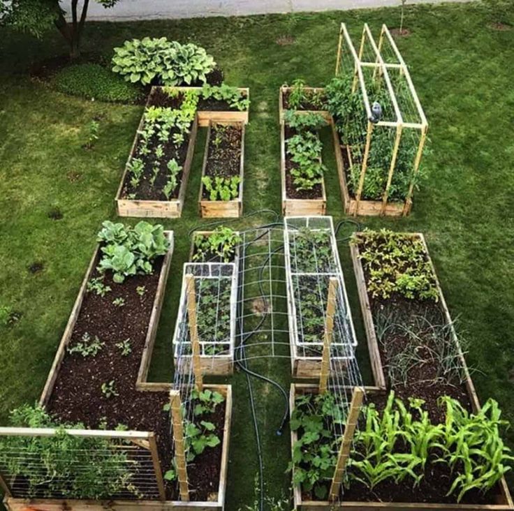 Simple Diy Vegetable Garden Design Ideas