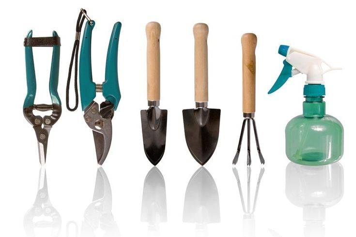 The Basic Gardening Tools Source