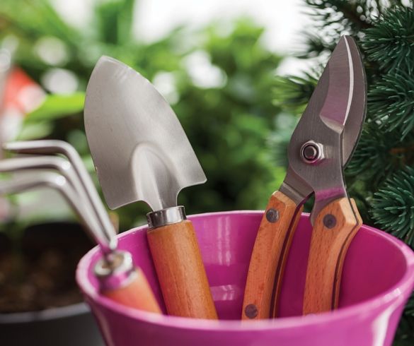 Jasons Musthave Garden Tools Httpwestcoastgardenscagarden