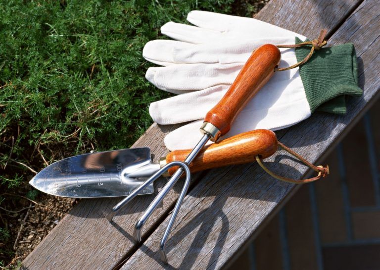 What Garden Tools