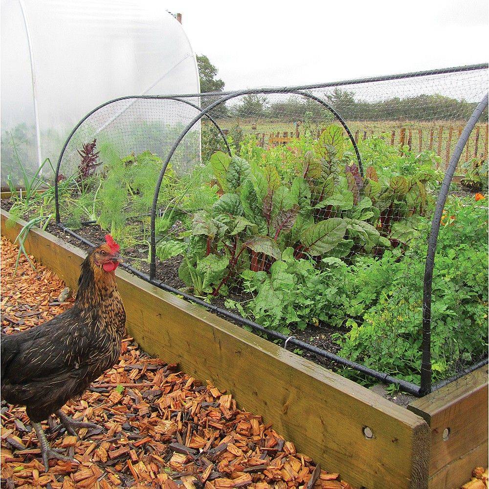 Monty Dons Garden Netting Tip