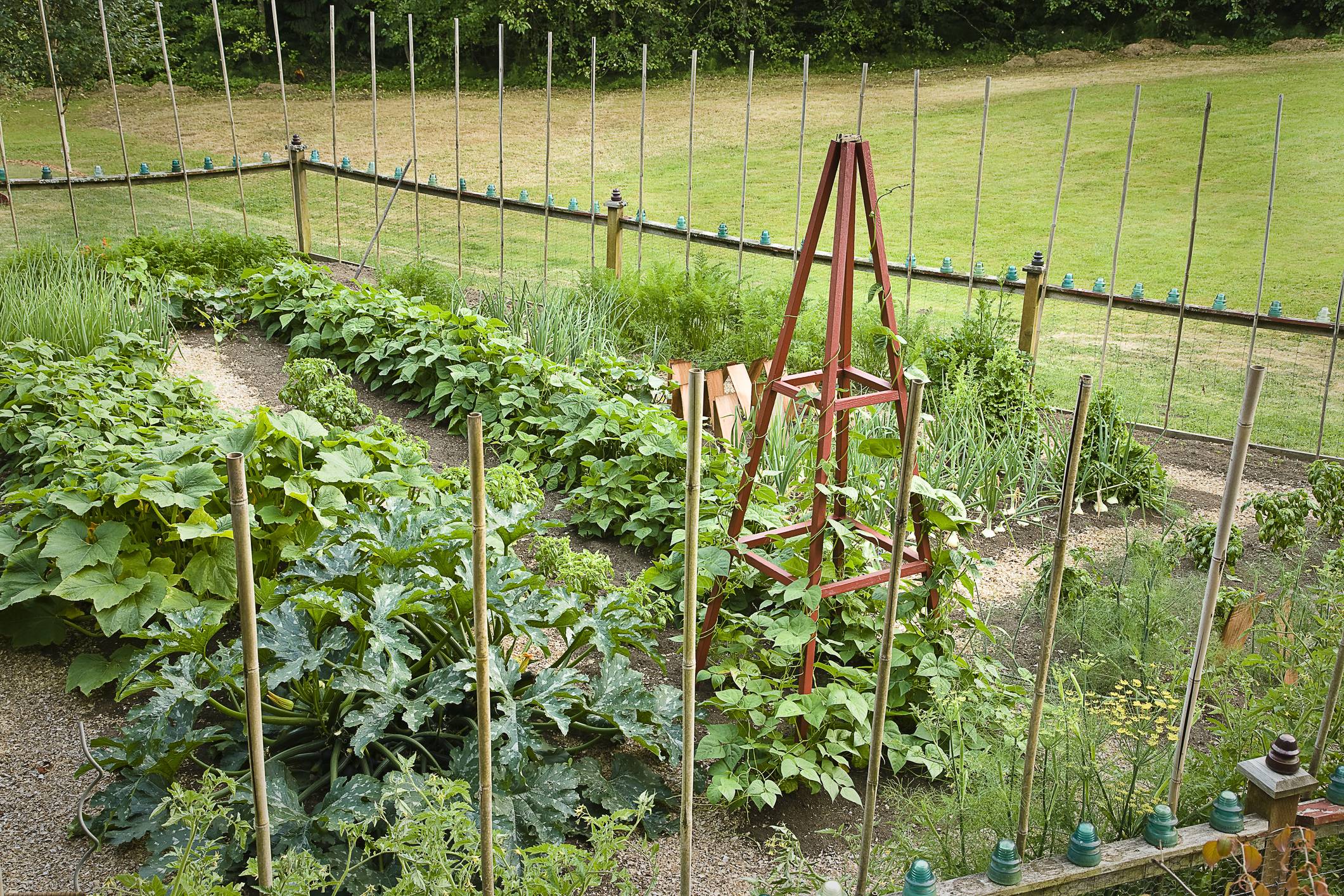 Frost Survival Gardening