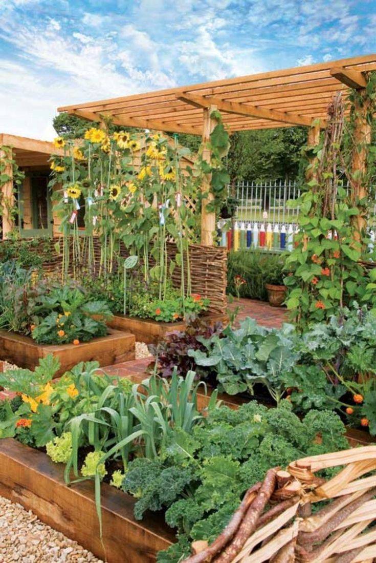 Beautifuly Colorful Vegetable Garden Design Ideas Page