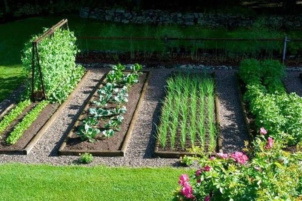 Fabulous Backyard Vegetable Garden Design Ideas