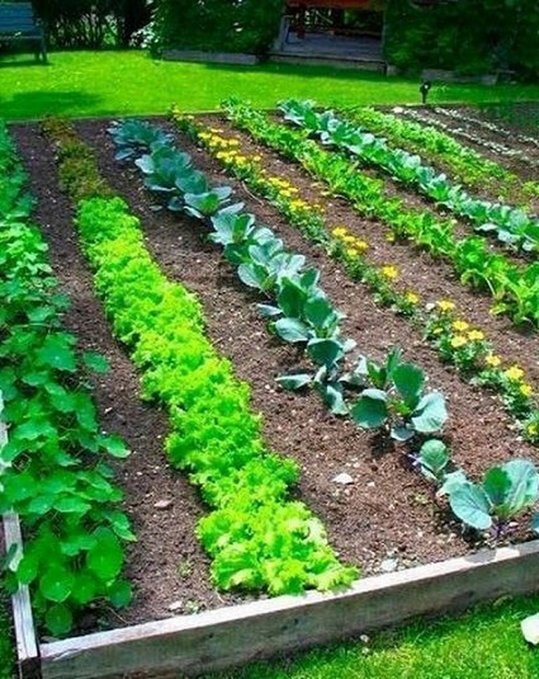 Very Beautiful Backyard Vegetable Garden Designs Ideas