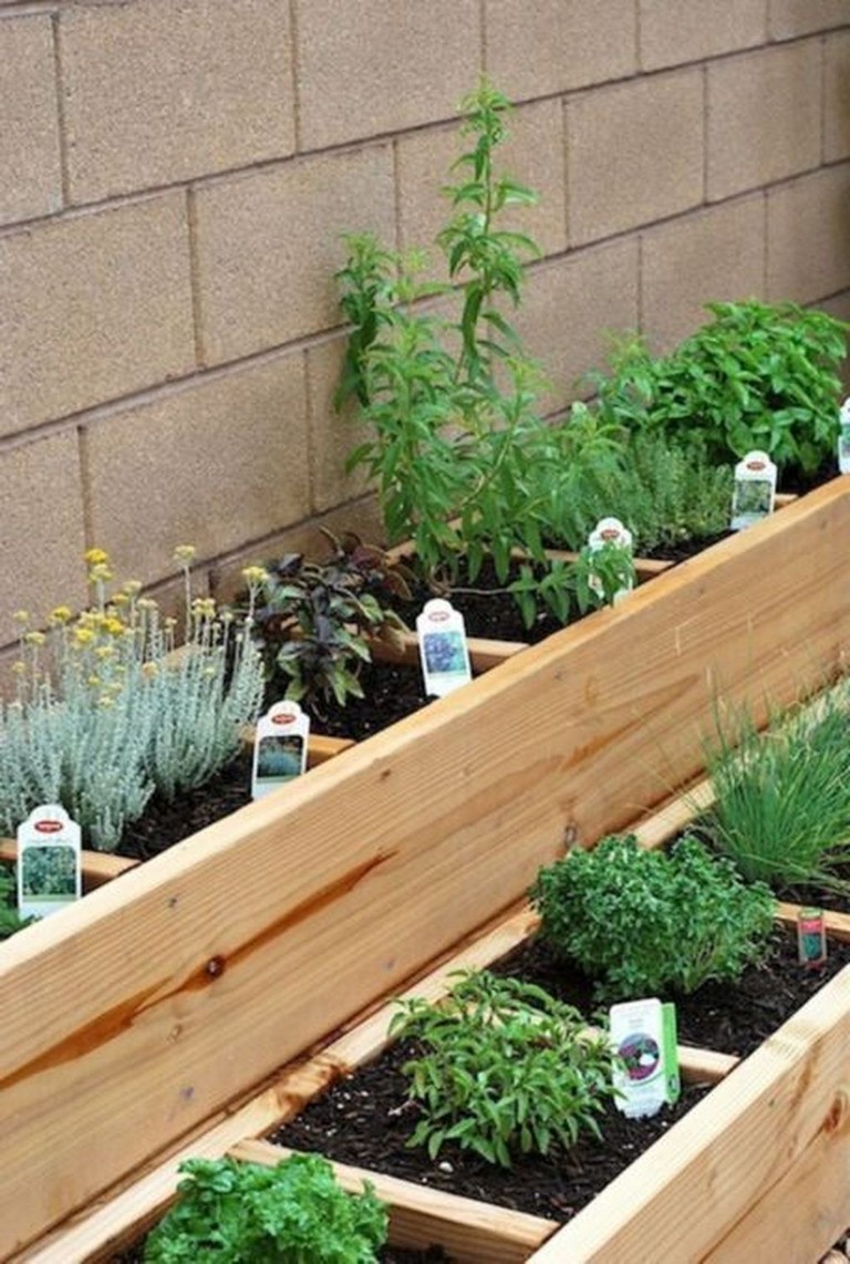 Vegetable Garden Ideas