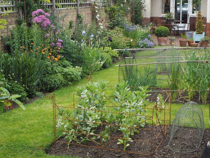 A Vegetable Garden