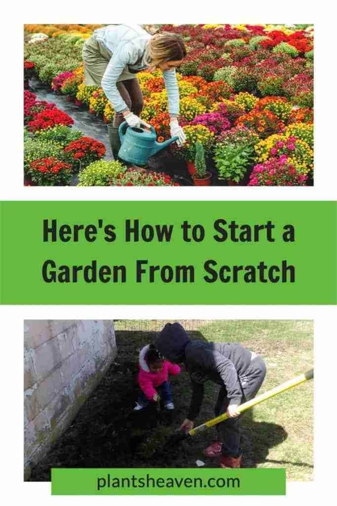 Scratch A Full Guide Gardening Tips