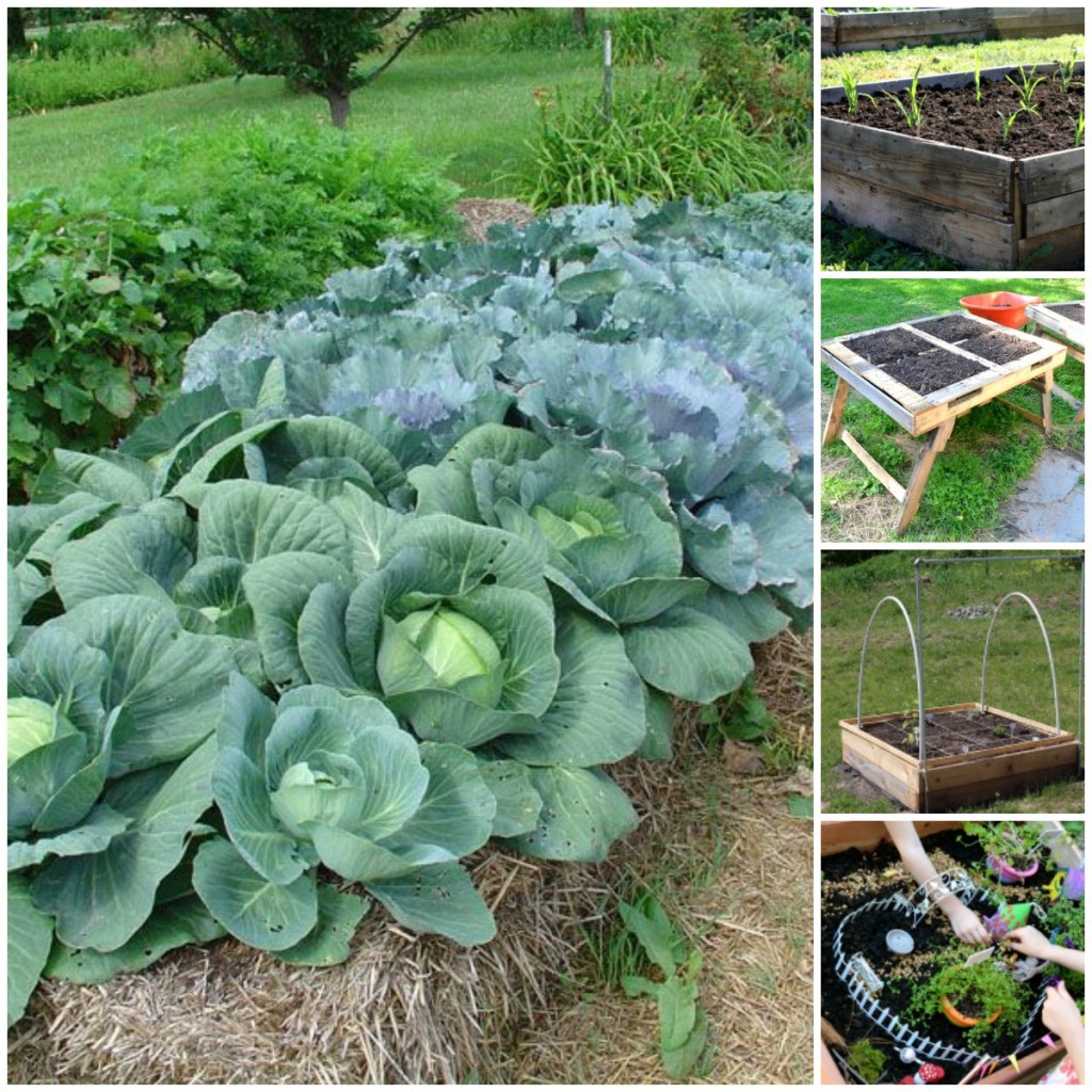 Your Own Kitchen Garden