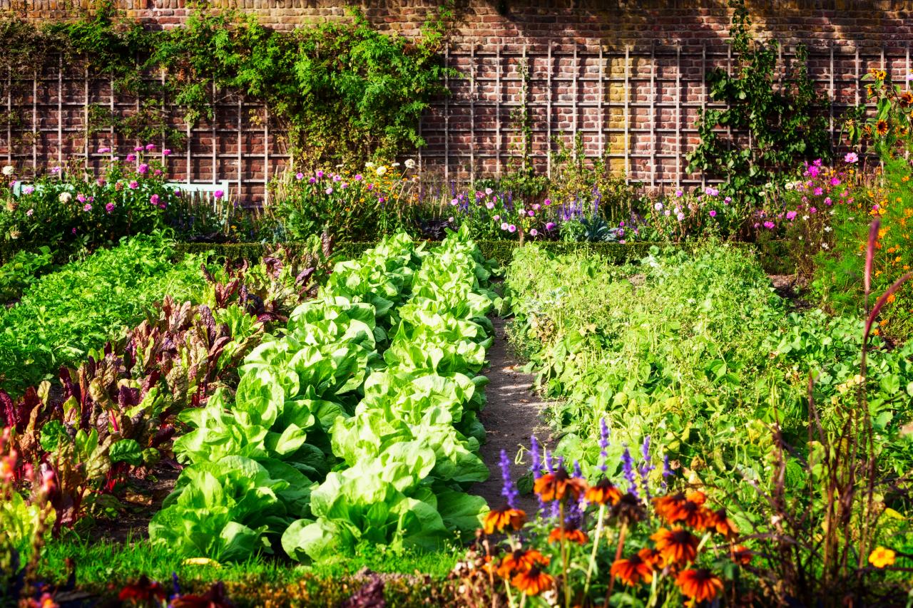 Community Gardening