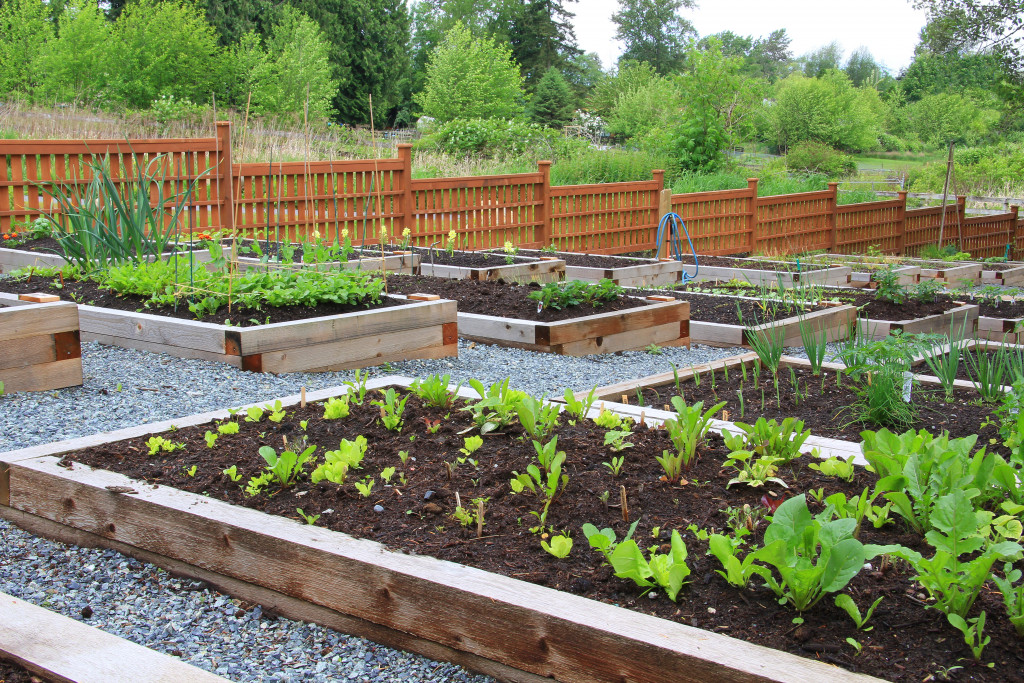 A Sustainable Project