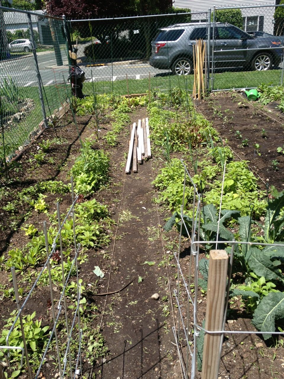 Your Community Garden Plots