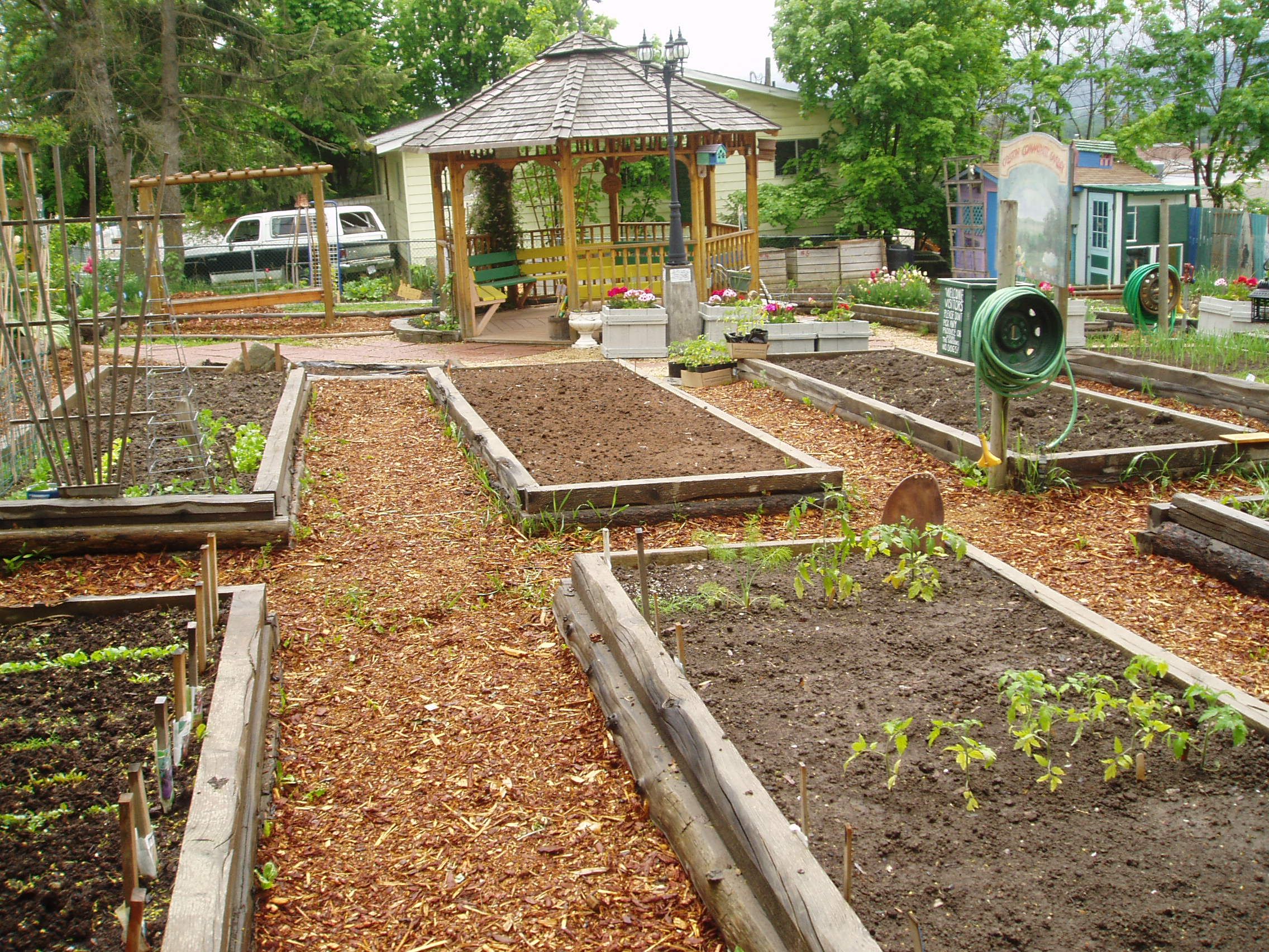 A Vegetable Garden