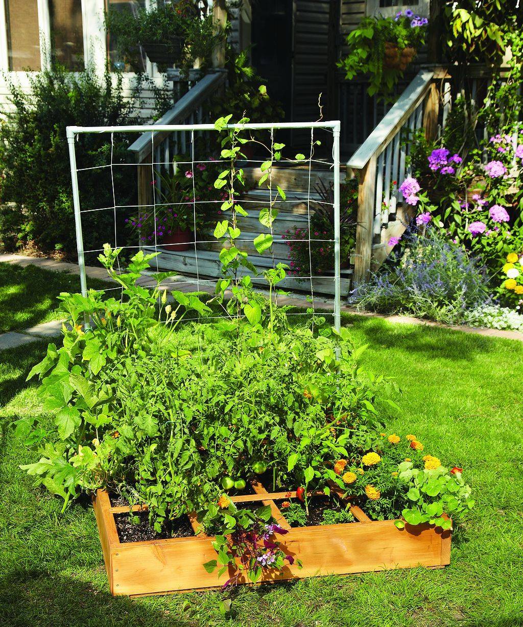 Garden Layout Garden Layout