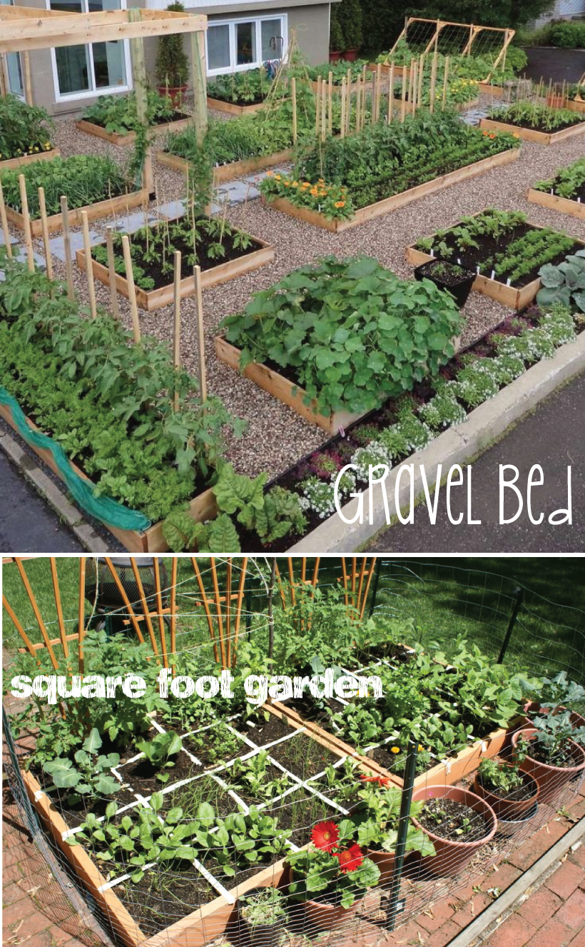 Tee Small Vegetable Gardens