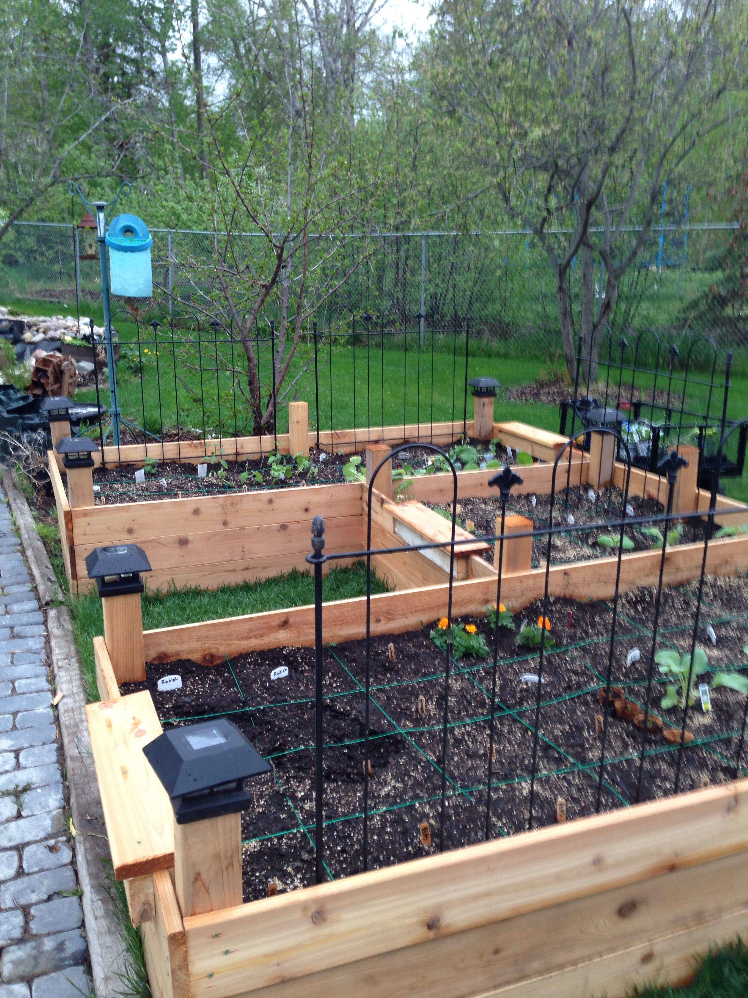 Square Foot Gardening