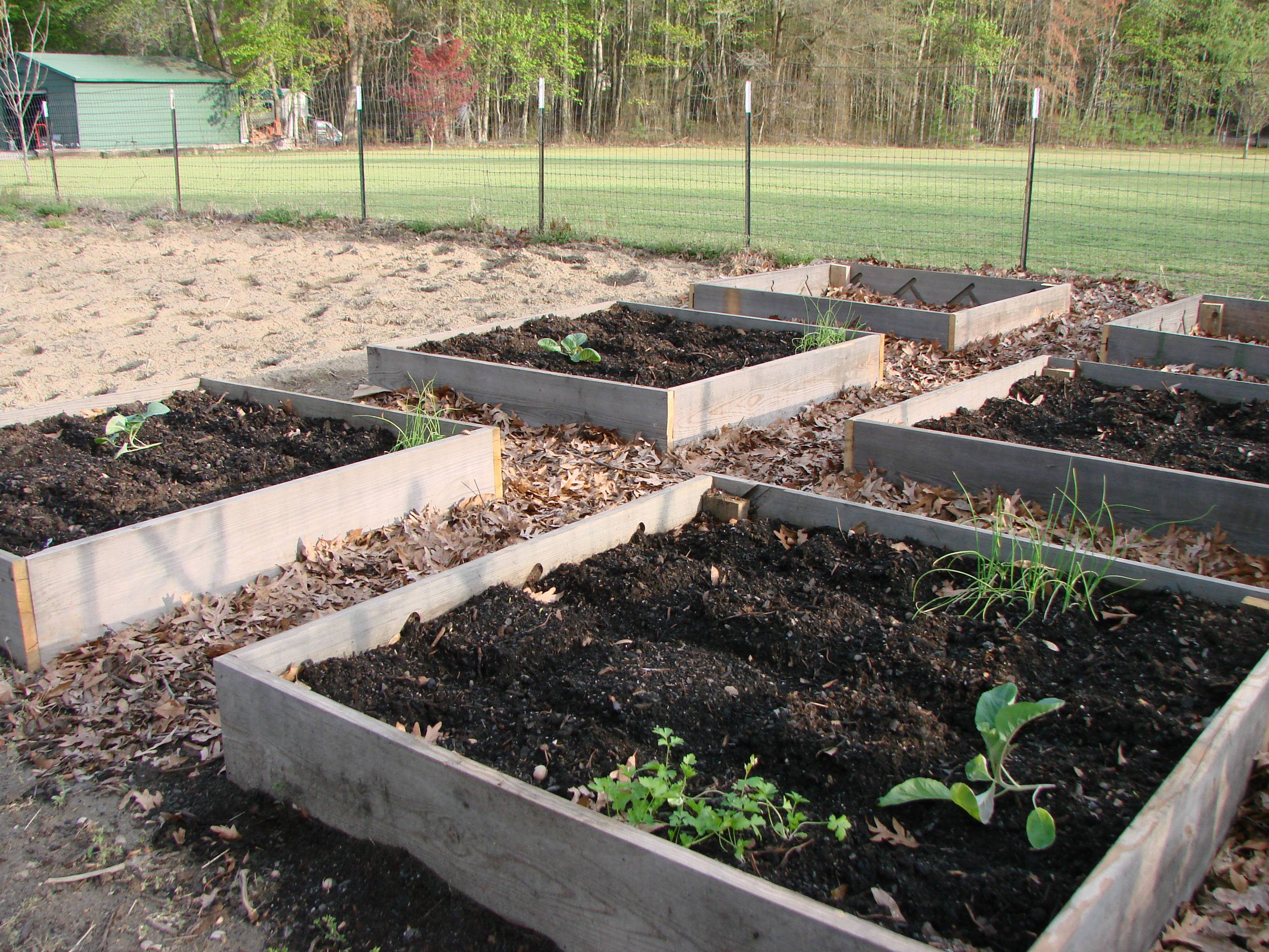 Square Foot Gardening