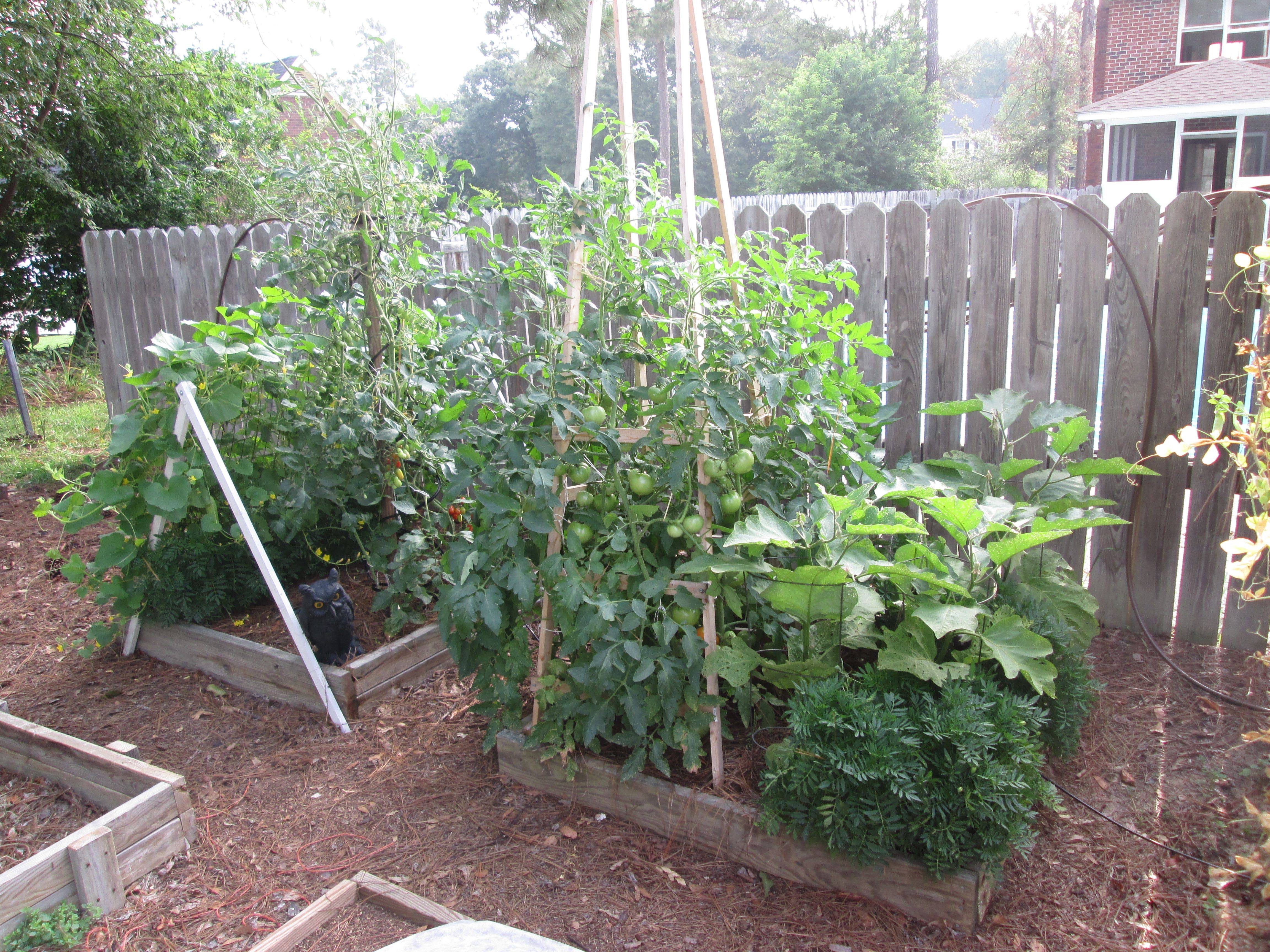 A Square Foot Salad Garden Video