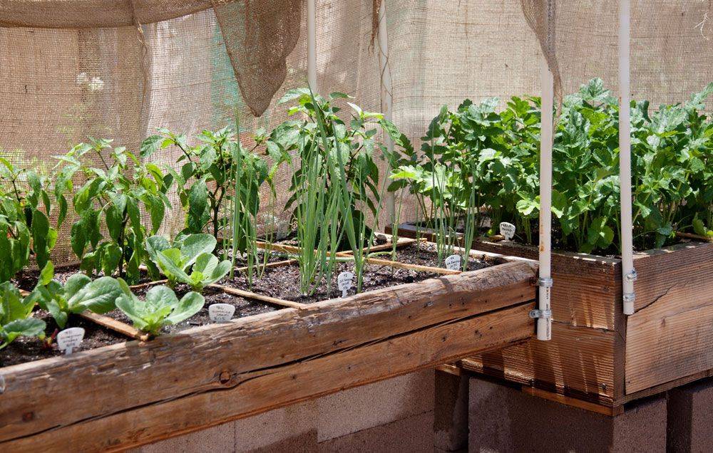 Raised Square Foot Vegetable Garden
