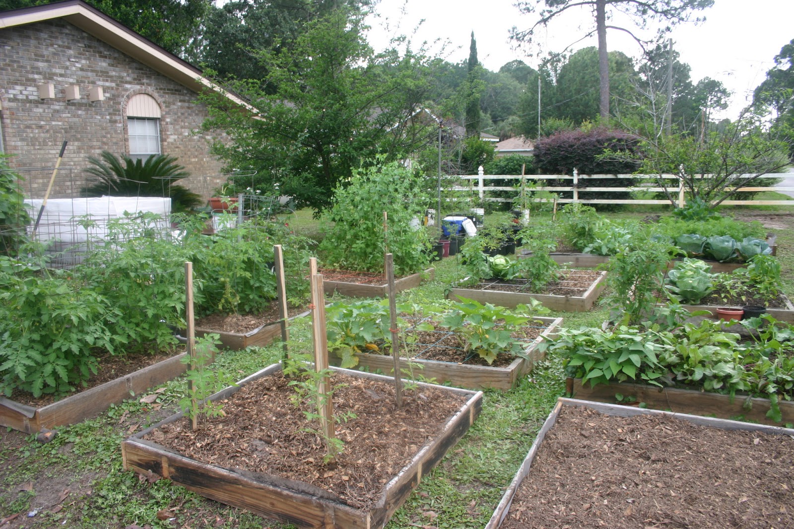 Easy Steps To Square Foot Garden Success