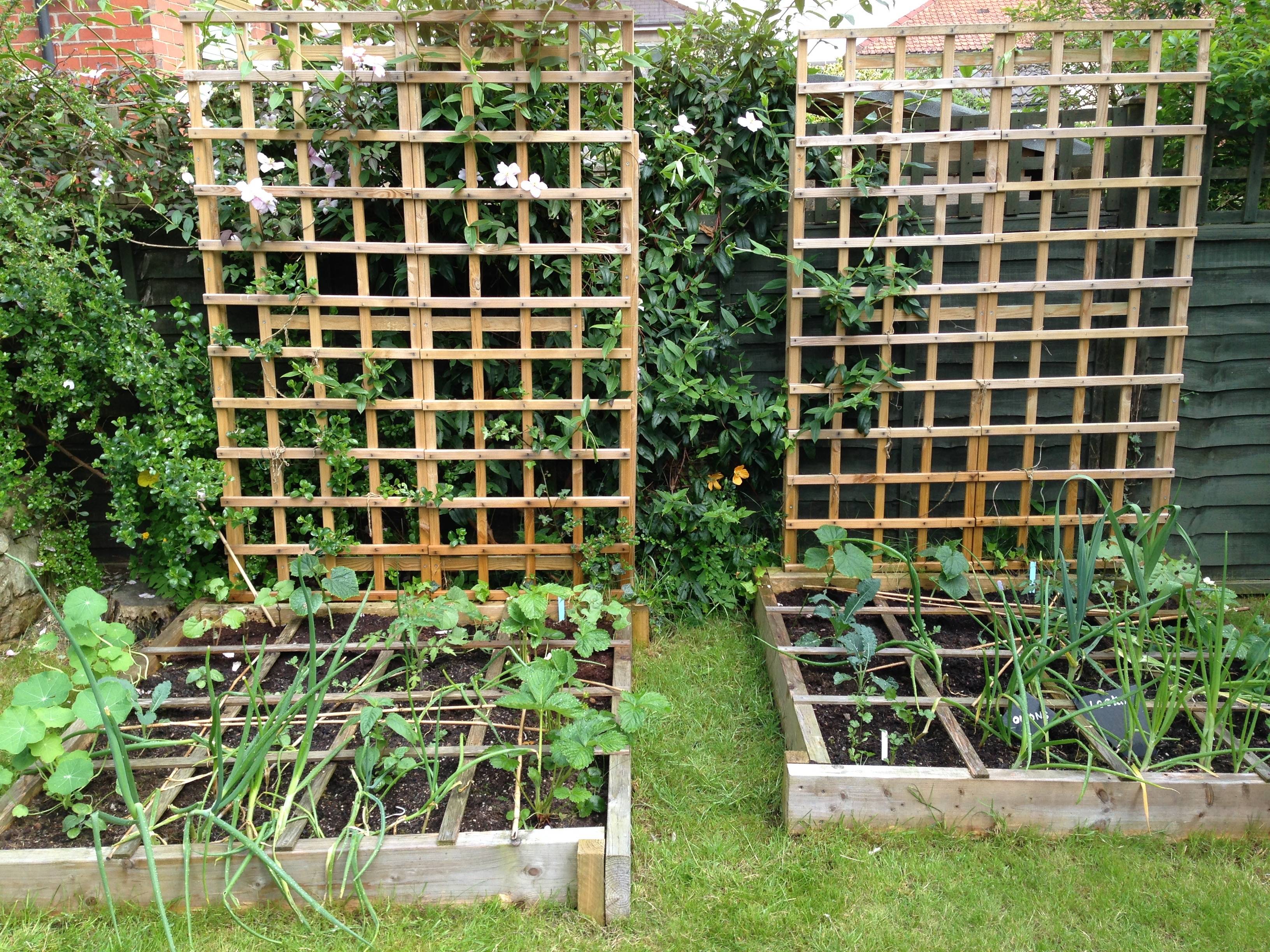 Square Foot Gardening Designs