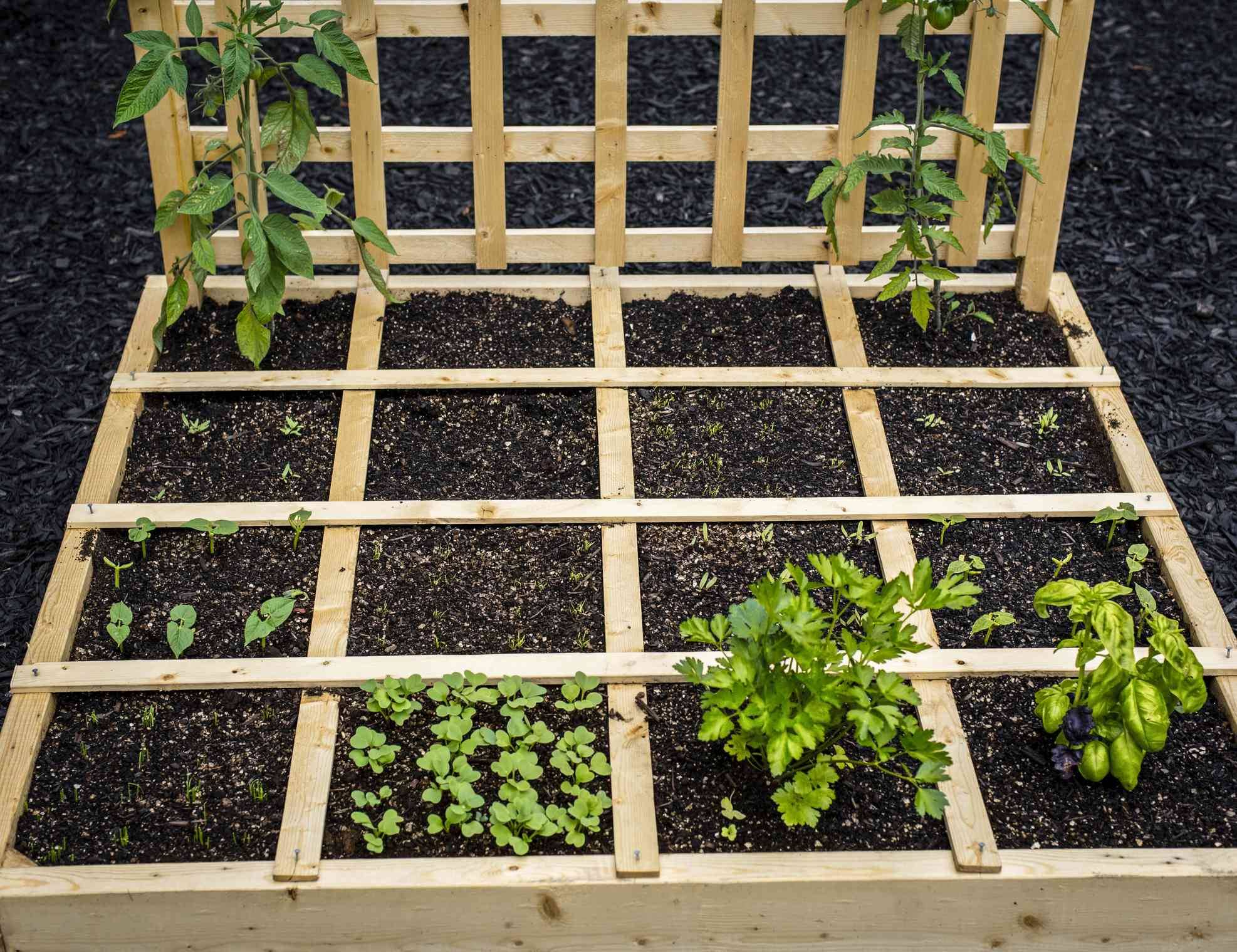 Square Foot Gardening Designs