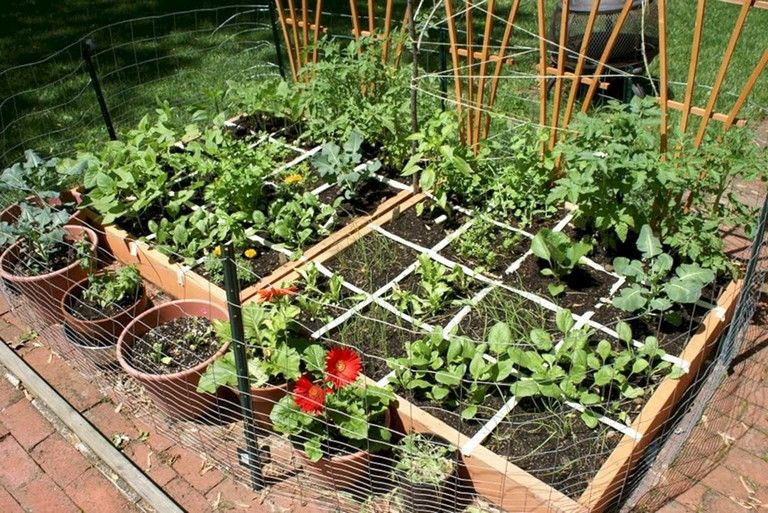 Square Foot Vegetable Garden Layout Gardenpicdesign