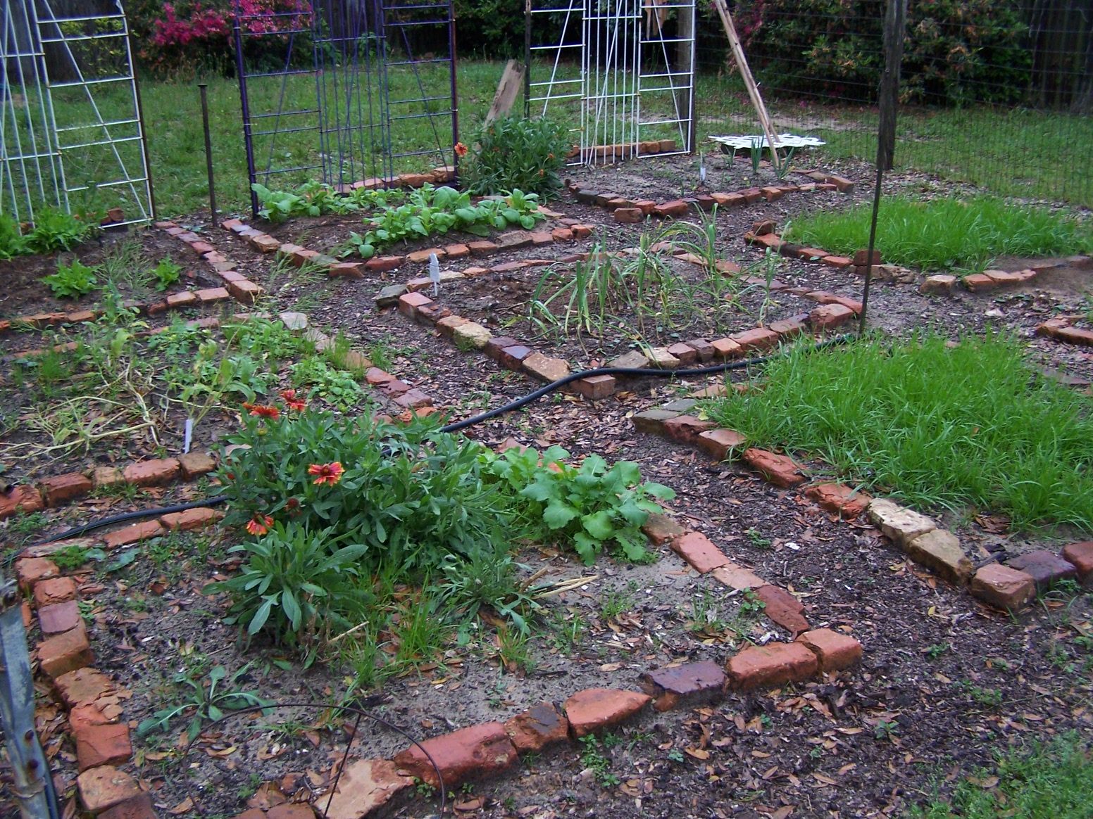 Garden And Patio Small Square