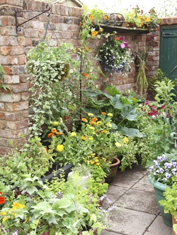 Amazing Container Garden