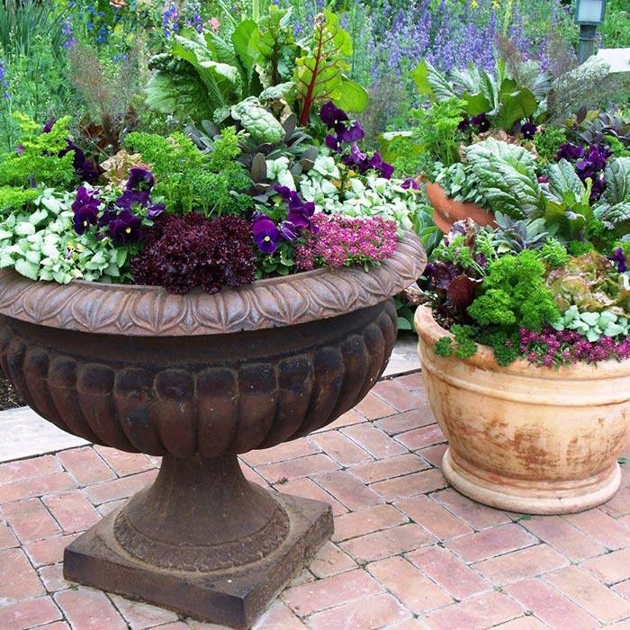 Container Gardening Ideas Quiet Corner