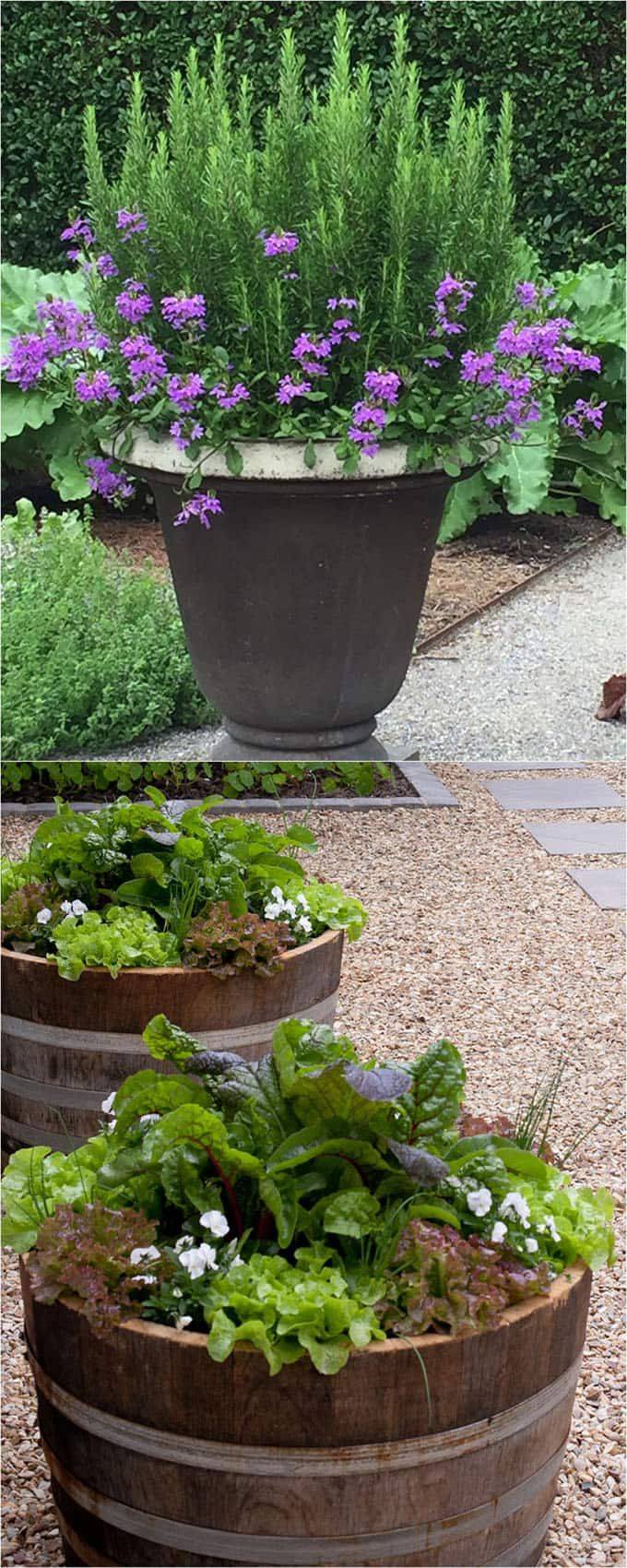 A Tiered Container Garden Southern Patio