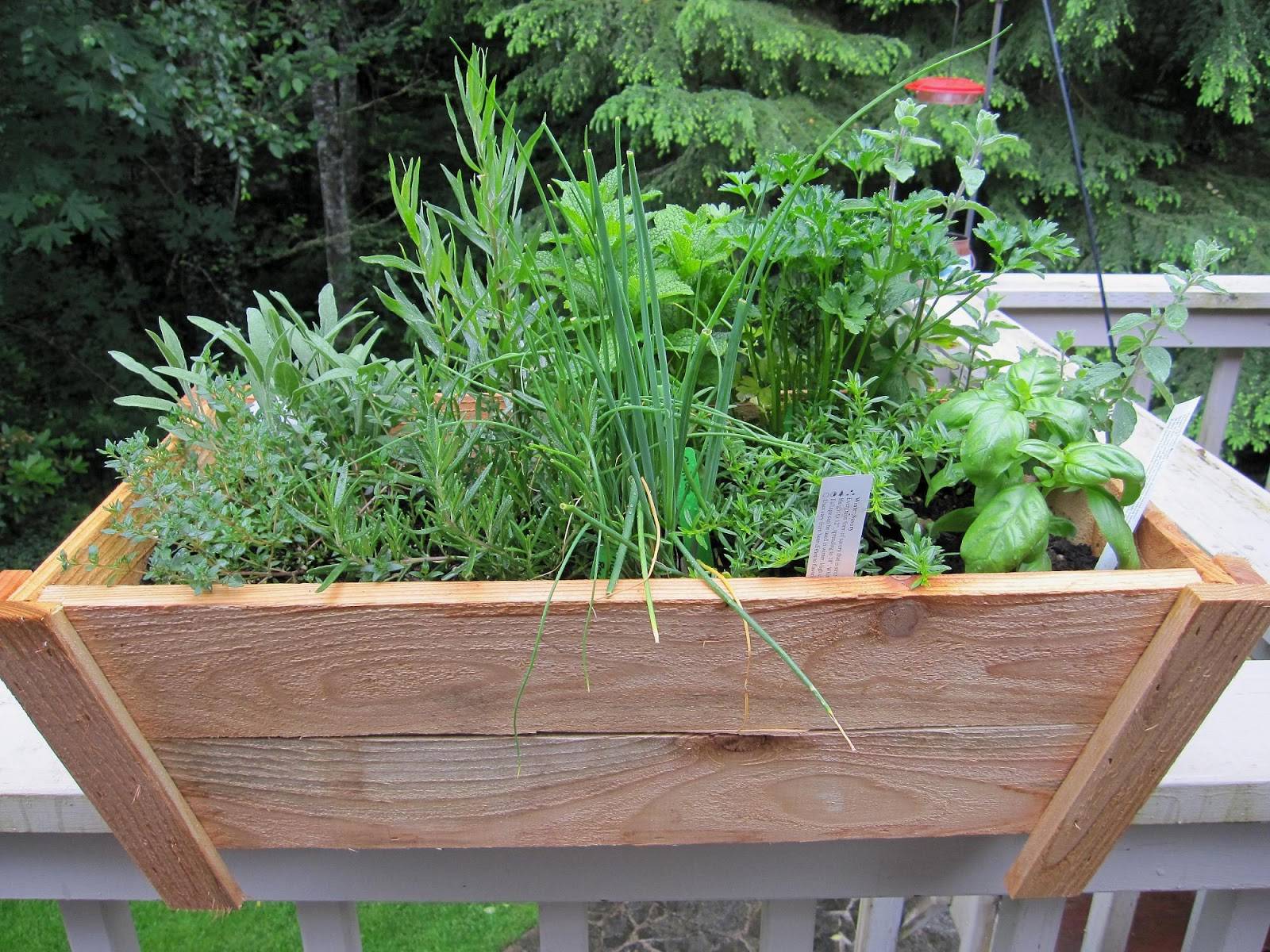 Top Diy Creative Herb Garden Ideas Top Inspired