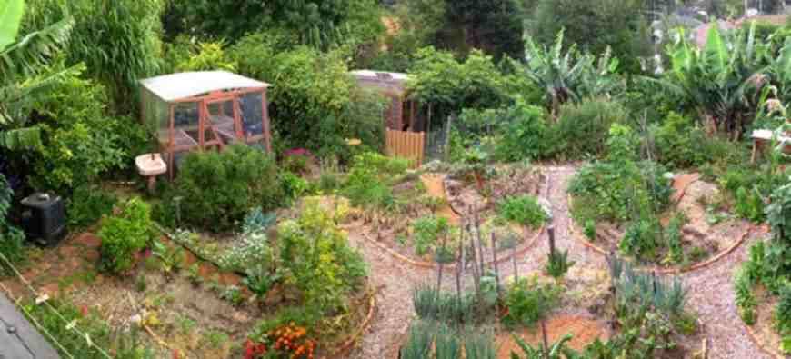 Mini Food Forest Kitchen Garden Jardin Potager