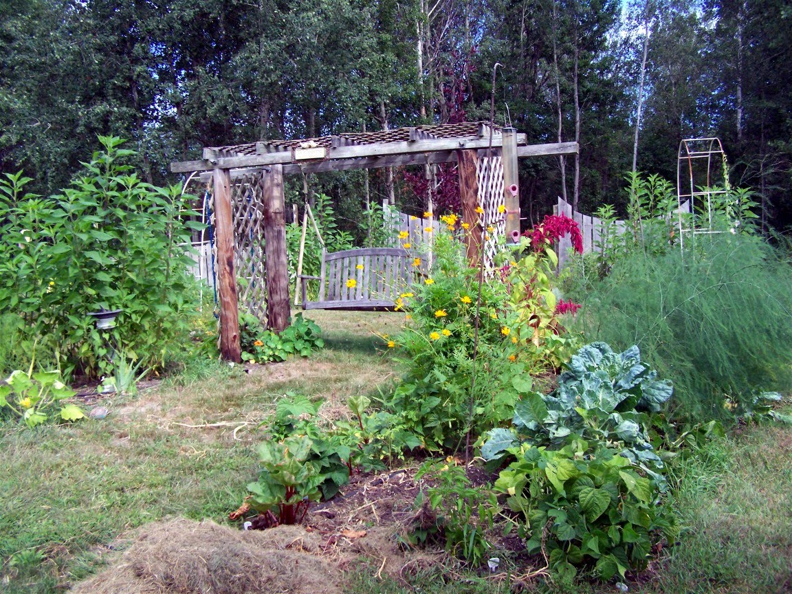 Medicine Garden Symbiop