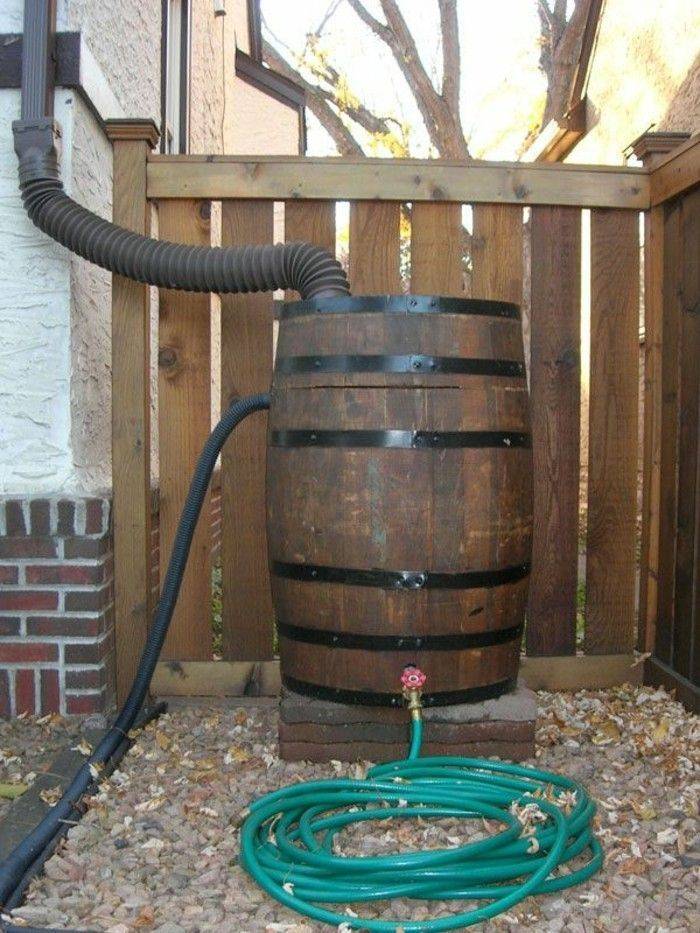 Garden Yard Ideas