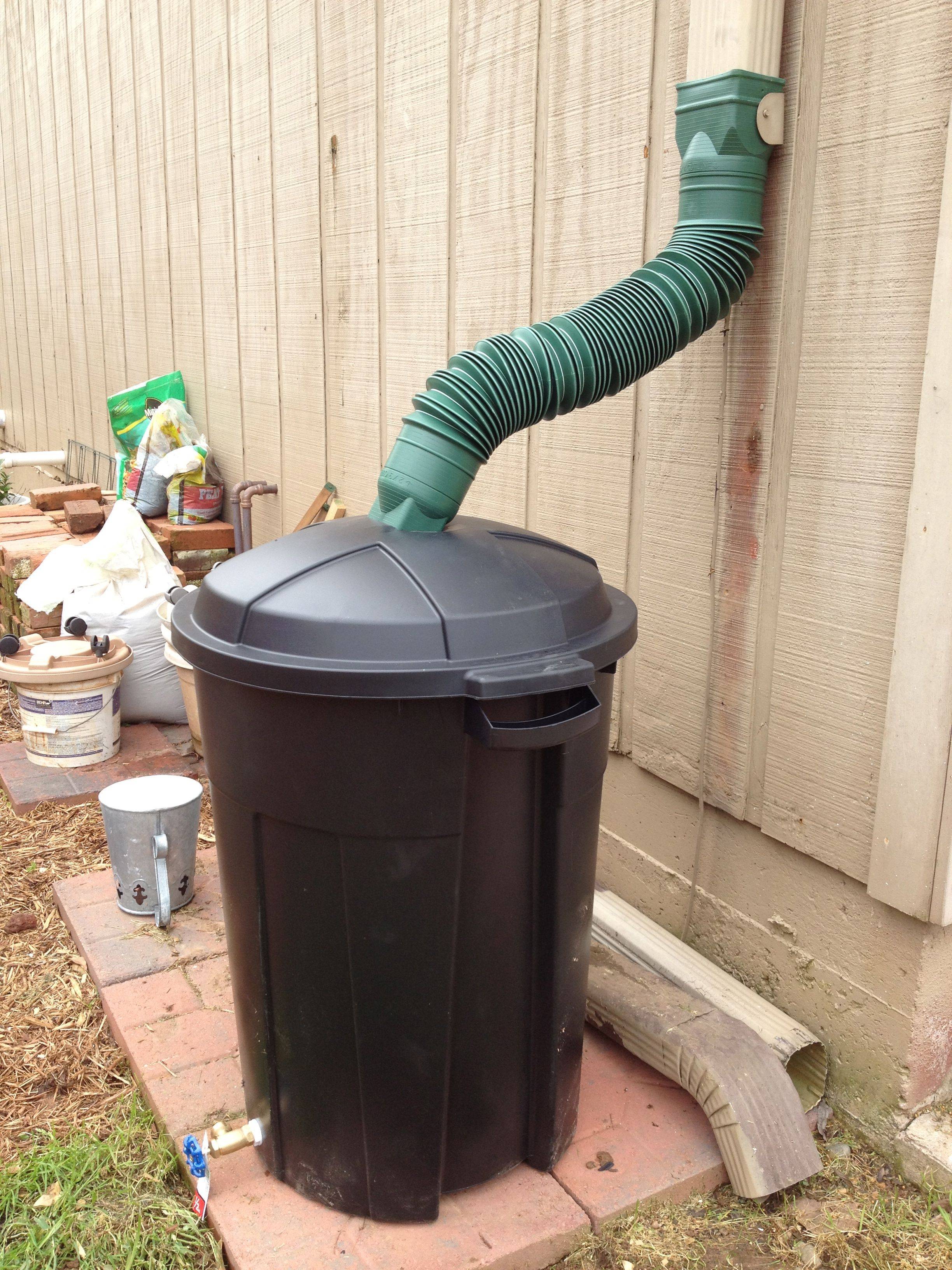 Backyard Vegetable Gardens