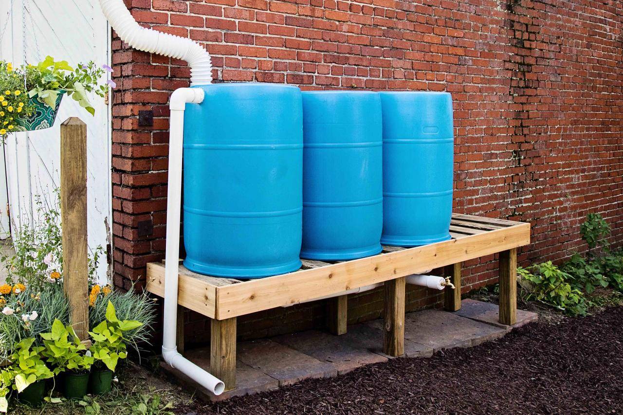 Painted Rain Barrel