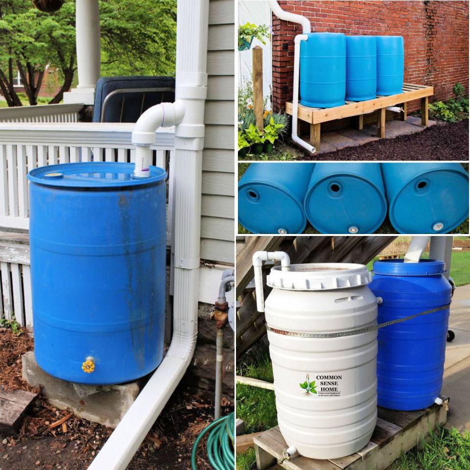 Rain Barrel Rain Water Collection System