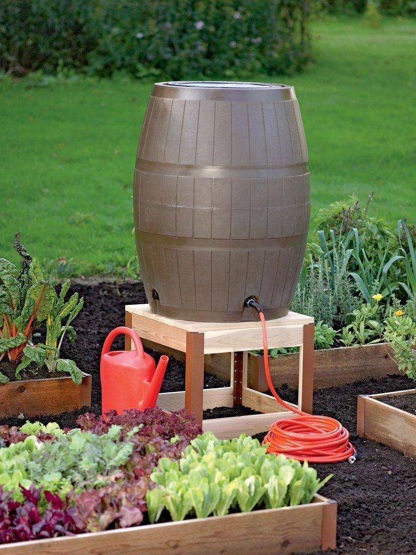 Attractive Rain Barrels Ideas