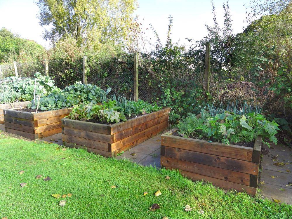 Stunning Diy Garden Pallet Ideas